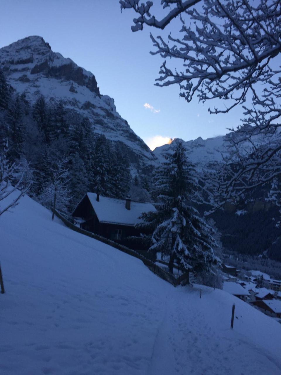 Chalet Gruenegg Grindelwald Extérieur photo