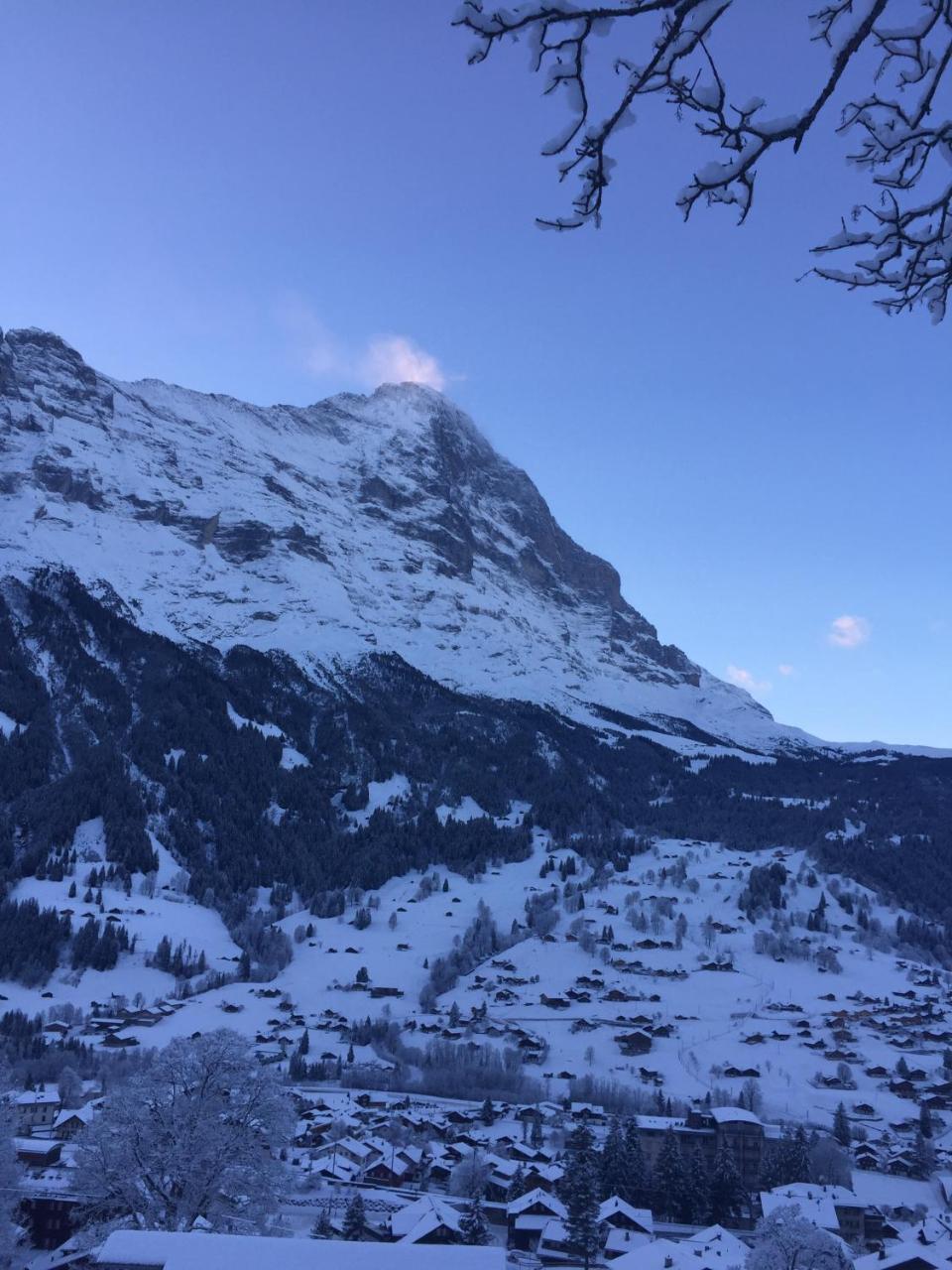 Chalet Gruenegg Grindelwald Extérieur photo